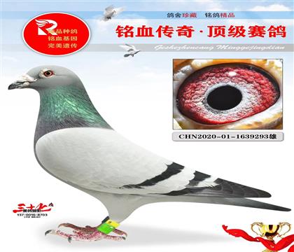 ���\ʢ����������478��