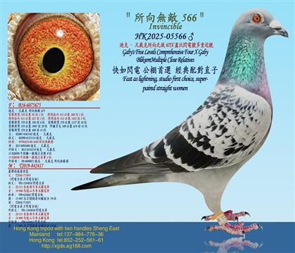 ���Ͽˡ�����������o��675X�w���W�̖���ؽ��H