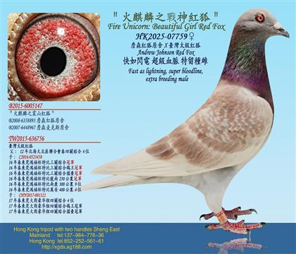 ղɭ�t��ԭ��X�_��̫���t��