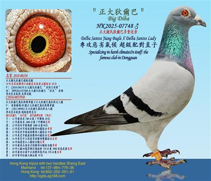 �����x�ϵҠ��Ͷ��ؽ��H