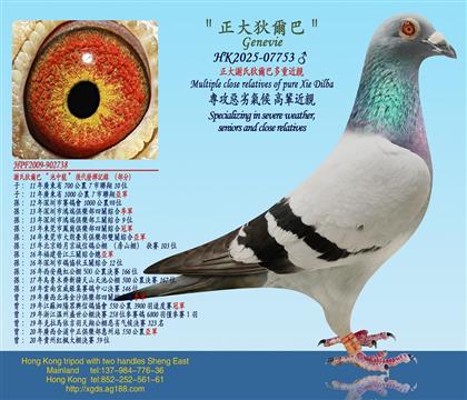 �����x�ϵҠ��Ͷ��ؽ��H