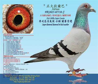 �����x�ϵҠ���X�S�����w��X��������˹