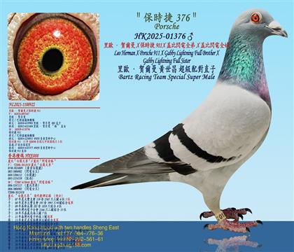 ��W���R����X���r��911 X�w�ȣ��׸�����X�w�ȣ��W늽�