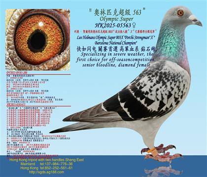 ���W���R����˹�W��ƥ�˳���003X�����Ώ�(qi��ng)��̖��X����ِ�_��