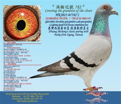 ���w�Ȝu݆���H���OX܊У�����O��X���W�ȫ��038X���P(gu��n)�C��