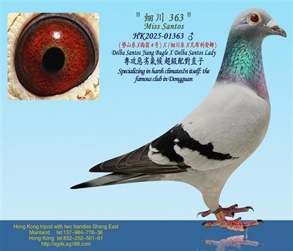 ��ɽϵ X ����4̖X��(x��)����X����������