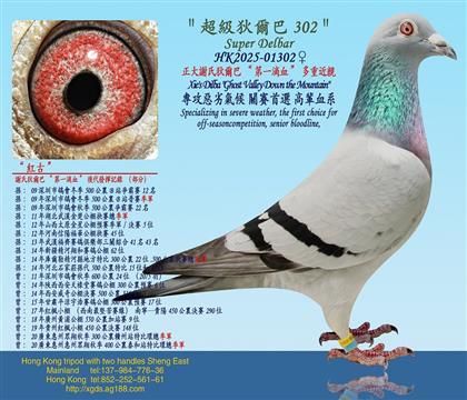 �����x�ϵҠ��͡���һ��Ѫ�����ؽ��H