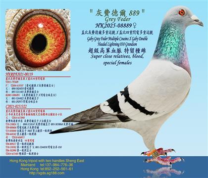 �w�Ȼ��M(f��i)� ����ؽ��HX�w�������W늶��ؽ��H