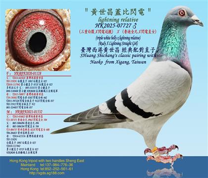 �����ذ׸�X�W늽��H��X����?sh��)�ȫ��X�W�ֱŮ��