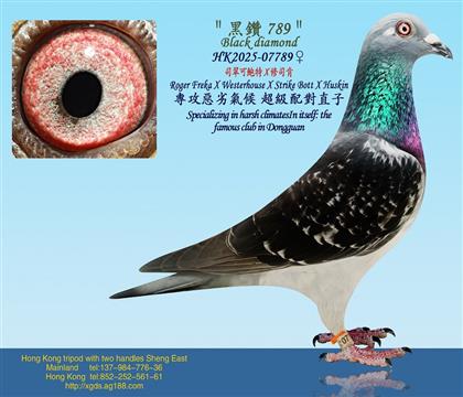 ˾����U��X��˾��