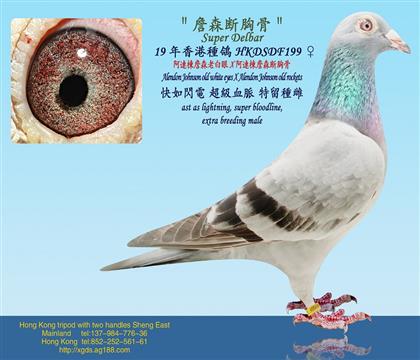 ׿Խ����/���B��ղɭ�ϰ���X���B��ղɭ���ع�