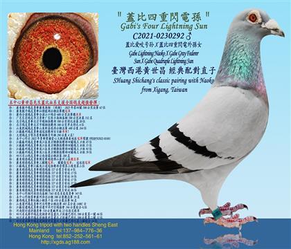 �w�Ȑ�ҧ̖�OX�w�������W���OŮ