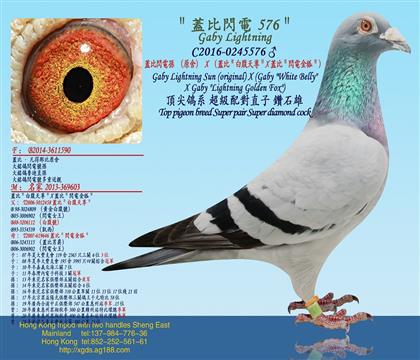 ׿Խ�����w���W늌O��ԭ�ᣩX���w�Ȱ׸�����X�w���W늽������