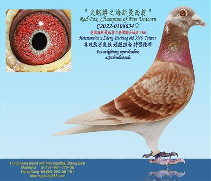 ������˹������X�_���������3546