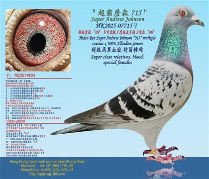 ����ղɭ��019�����ؽ��HX ���B����ղɭXղɭ����˹X ղ