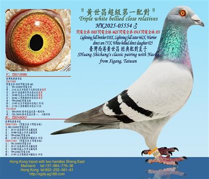 ���S����������һ�䌦���W�ȫ��X�W�ȫ��