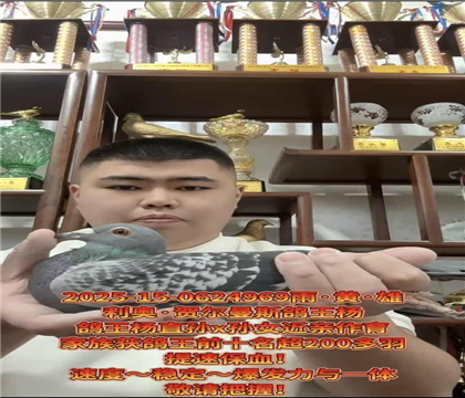 ���ٱ�Ѫ�����W�R����˹������ֱ�OX�OŮ����