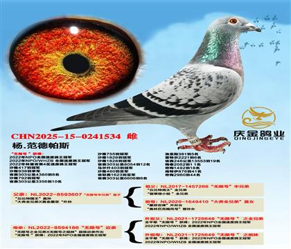 ��.������˹���o��̖���ֵܡ�ֱ��x���o��̖�����H