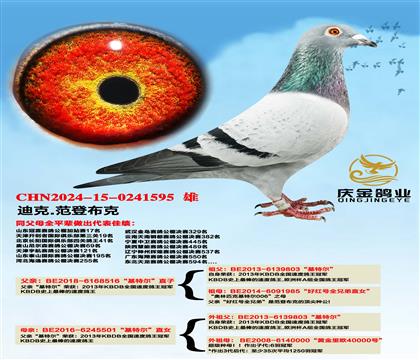 �Ͽ�.���ǲ��ˡ����ؠ���ֱ��x�����ؠ���ֱŮ