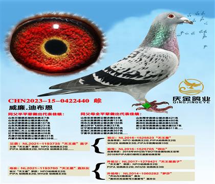 ����.�ϲ����������ǡ�ֱ��x�������ǡ�ֱ�OŮ