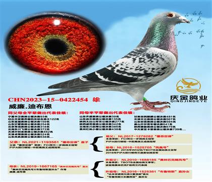 ����.�ϲ�����ī�ƶ��ɡ�ֱ��x���W��ƥ���Z�L(f��ng)̖��ֱŮ