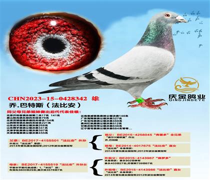 ��.����˹�����Ȱ�����Ox�����Ȱ�����OŮ