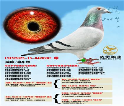 ����.�ϲ�����ī�ƶ��ɡ�ֱ��x��ī�ƶ���|��ֱŮ