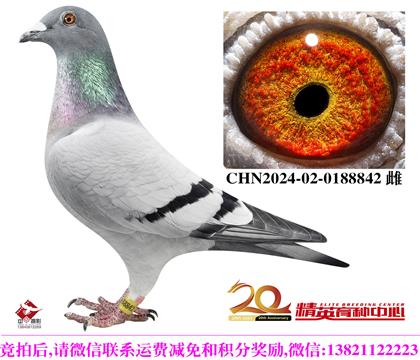 ���ǲ���ȫ��������܊�_��ֱ�O