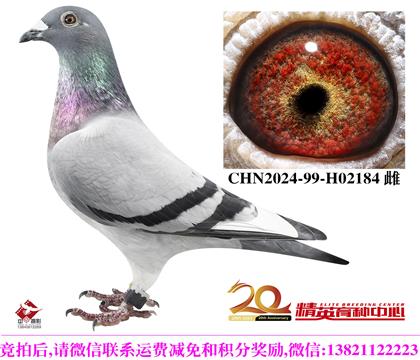 Ӣ��˹���������178�����H�OŮ