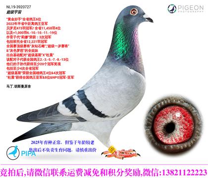 ��������/피���(zh��n)��/�Ӵ��f���܊