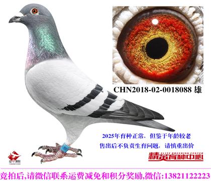 �������������240