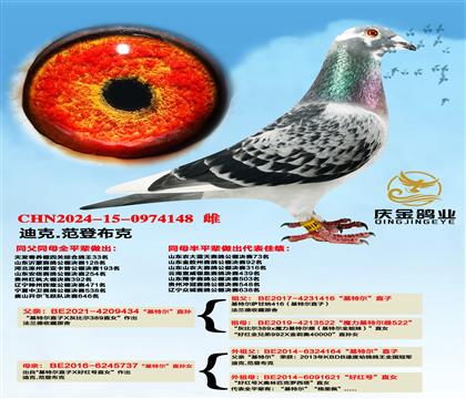 �Ͽ�.���ǲ��ˡ����ؠ���ֱ�Ox�����ؠ���ֱ�OŮ