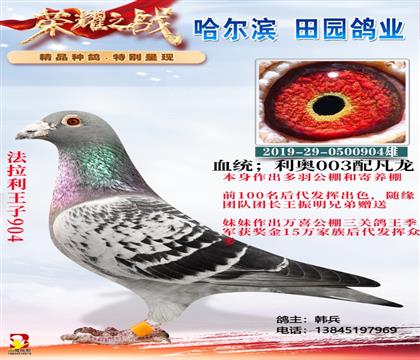 法拉利王子094拍賣總價最高贈送鴿