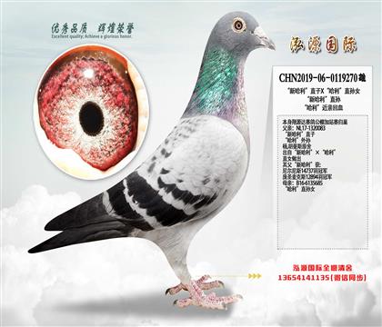 ���¹�����ֱ��X��������ֱ�OŮ