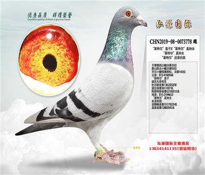 �����ؠ���ֱ��X�����ؠ���ֱ�OŮ