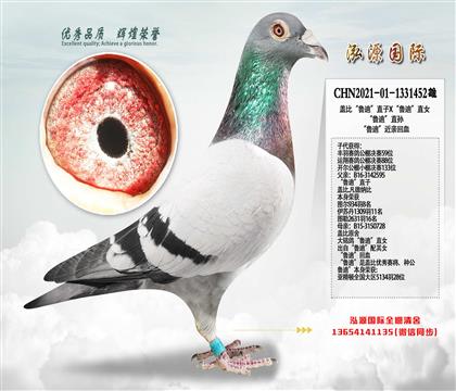 �w�ȡ����ϡ�ֱ��X�����ϡ�ֱŮ