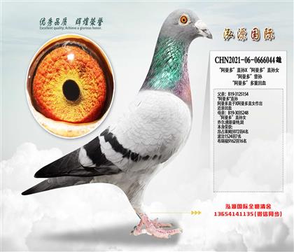 �������ࡱֱ�OX�������ࡱֱ�OŮ