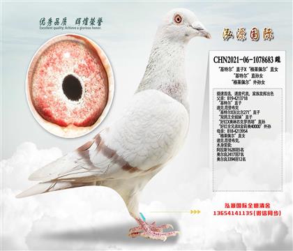 �����ؠ���ֱ��X�����R�堖��ֱŮ