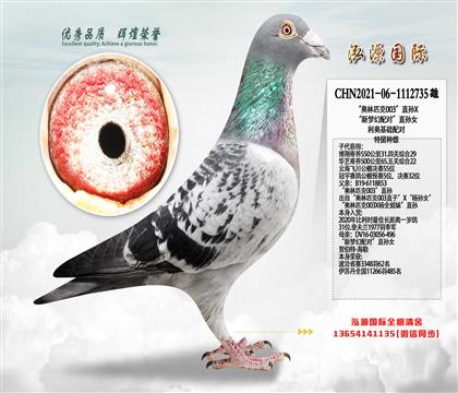 ���W��ƥ��003��ֱ�OX�������䌦��ֱ�OŮ