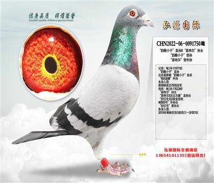 ������С�ӡ�ֱ�OX�����ؠ����OŮ