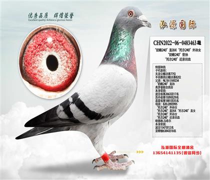 ������240��ֱ�OX���Р�240����OŮ