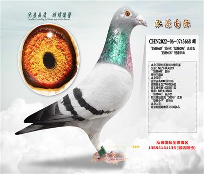 ������698�����OX������698��ֱ�OŮ