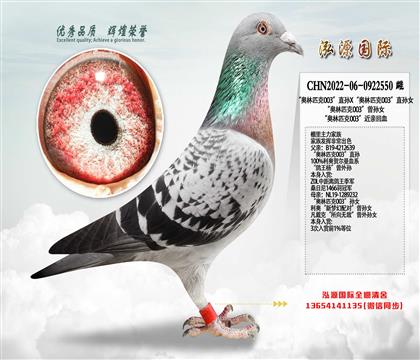 ���W��ƥ��003��ֱ�OX���W��ƥ��003��ֱ�OŮ