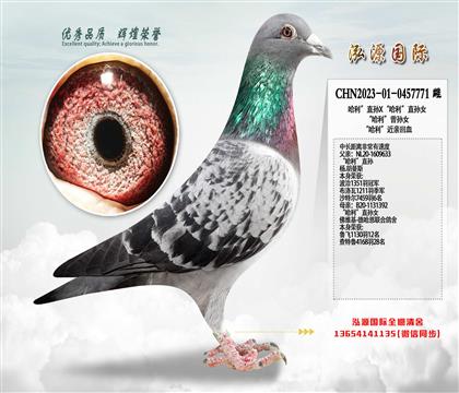 ��������ֱ�OX��������ֱ�OŮ