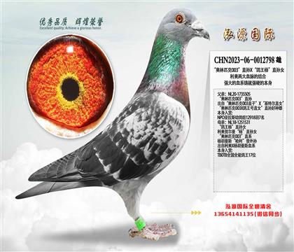 ���W��ƥ��003��ֱ�OX�������ֱ�OŮ