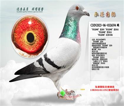 �����\848��ֱ�OX�����\848��ֱ�OŮ