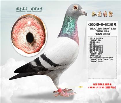 ������240��ֱ�OX������240��ֱ�OŮ