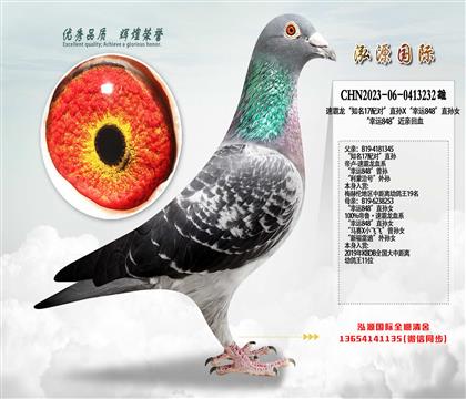 �ٰ�����֪��17�䌦��ֱ�OX�����\848��ֱ�OŮ