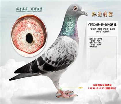 ���W���_�Ơ�����OX���_�Ơ���ֱ�OŮ