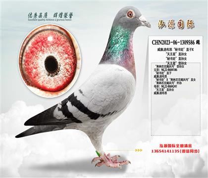 ����.�ϲ������ؕ�̎��ֱ��X�������ǡ�ֱ�OŮ